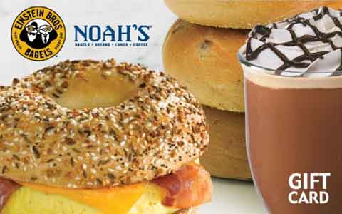 Noah's New York Bagels Gift Cards